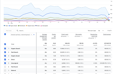 Kodėl dingo Google Analytics (GA4) pardavimų statistika? GS1/GS2 slapukai